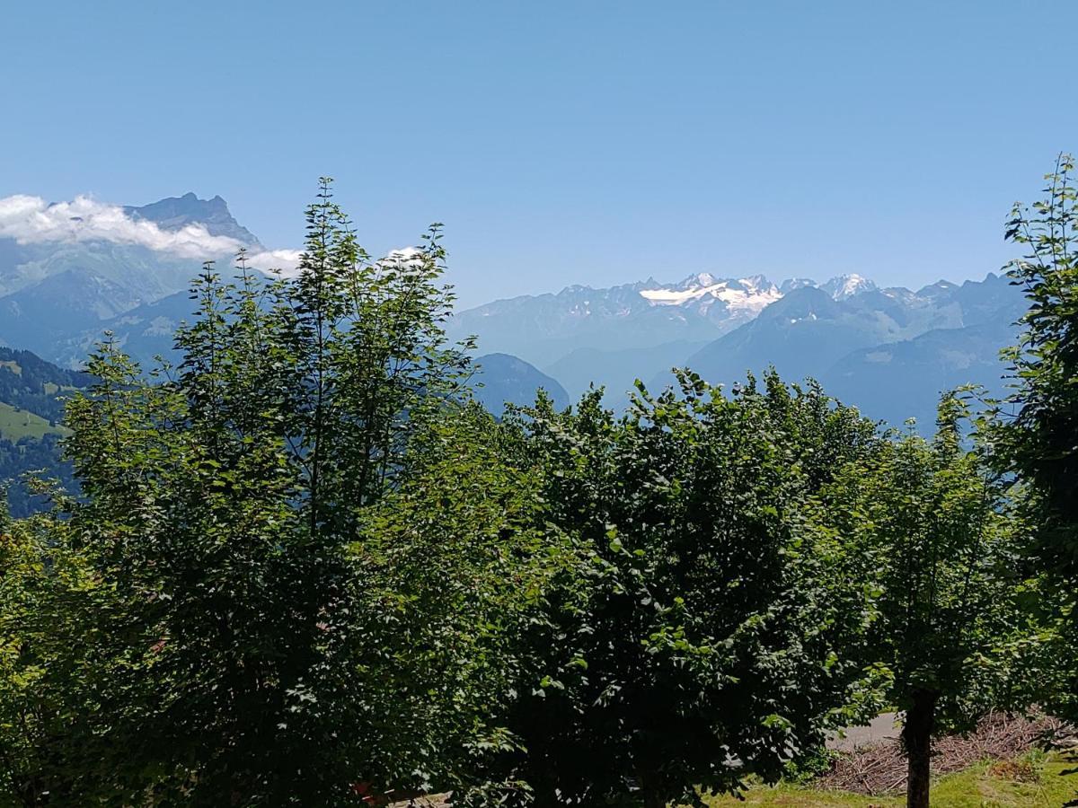 Studio Au Calme, Vue Imprenable Sur La Vallee Leysin Eksteriør bilde