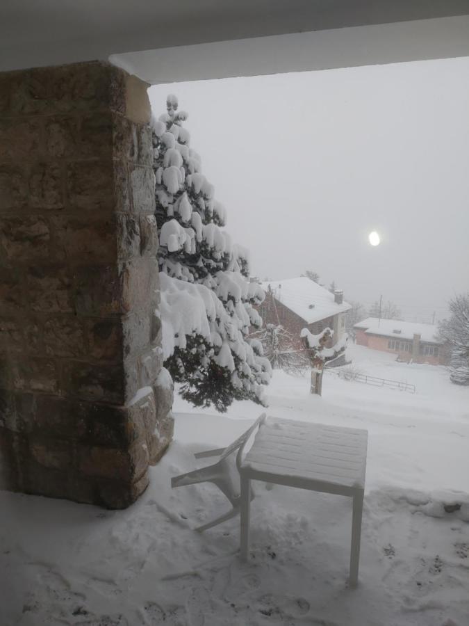 Studio Au Calme, Vue Imprenable Sur La Vallee Leysin Eksteriør bilde