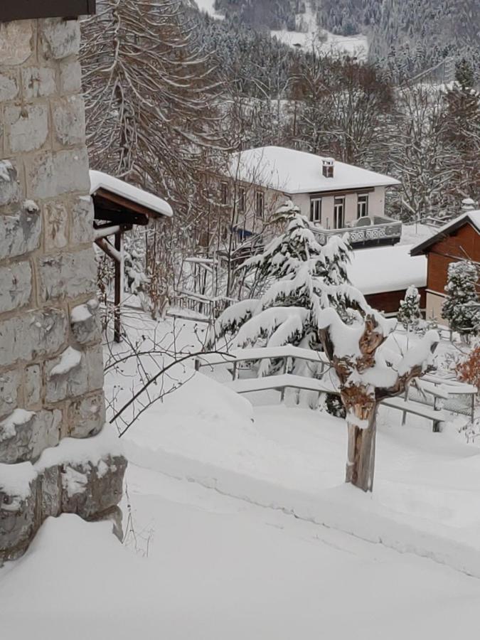 Studio Au Calme, Vue Imprenable Sur La Vallee Leysin Eksteriør bilde