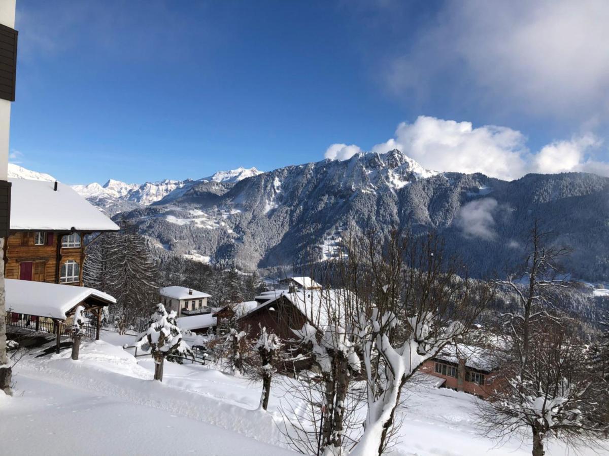 Studio Au Calme, Vue Imprenable Sur La Vallee Leysin Eksteriør bilde