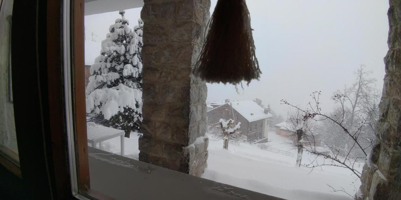 Studio Au Calme, Vue Imprenable Sur La Vallee Leysin Eksteriør bilde