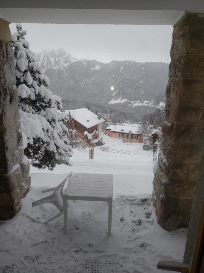 Studio Au Calme, Vue Imprenable Sur La Vallee Leysin Eksteriør bilde