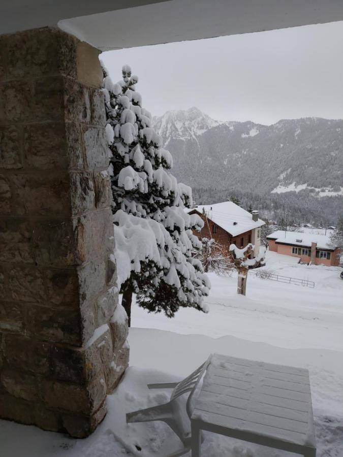 Studio Au Calme, Vue Imprenable Sur La Vallee Leysin Eksteriør bilde